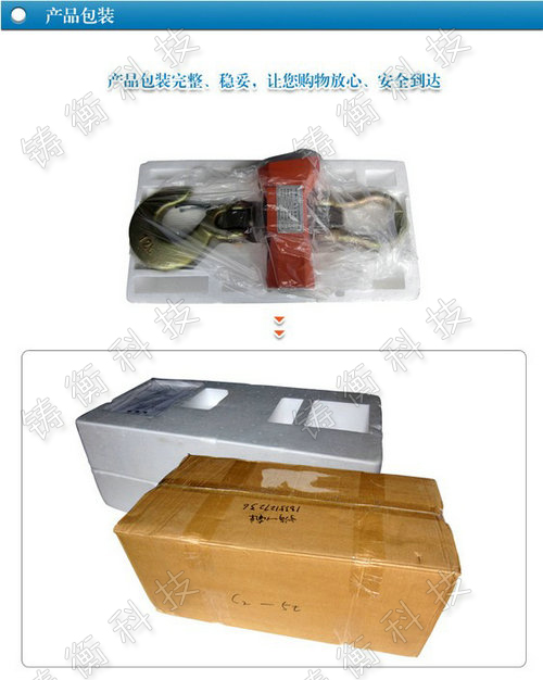電子吊鉤秤